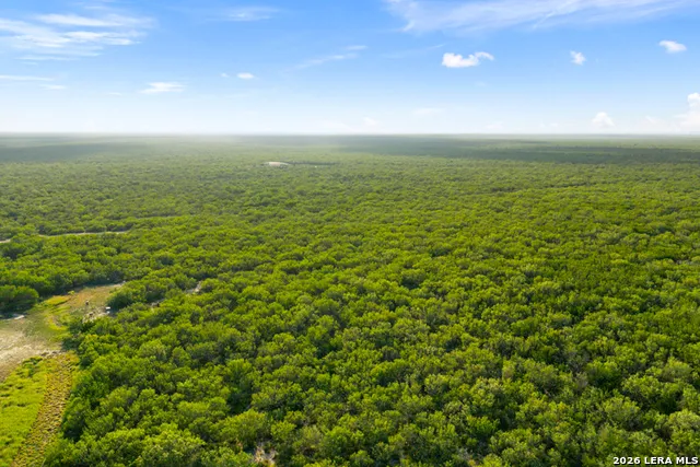 TBD CR 401 Freer, TX 78357
