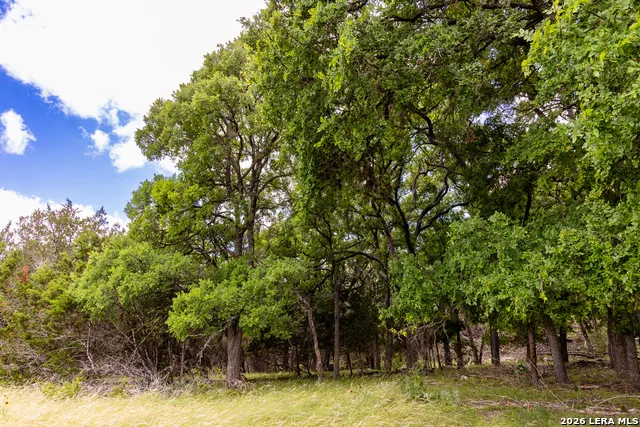 289 Hoot Owl Hollow Ingram, TX 78025