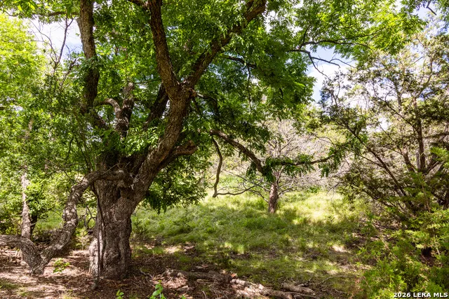 289 Hoot Owl Hollow Ingram, TX 78025
