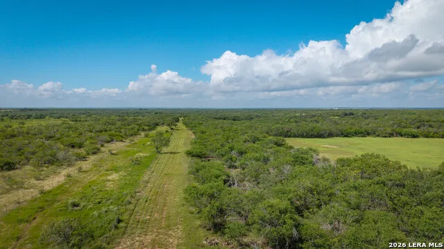 43 ACRES Fm 885 Runge, TX 78151