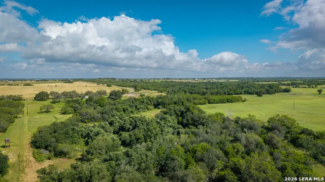 43 ACRES Fm 885 Runge, TX 78151