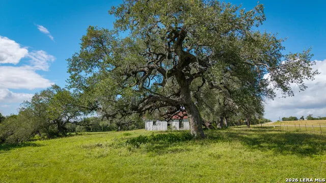 43 ACRES Fm 885 Runge, TX 78151