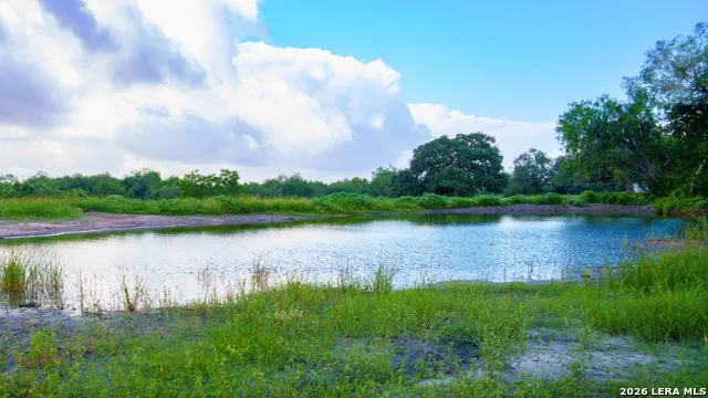 43 ACRES Fm 885 Runge, TX 78151