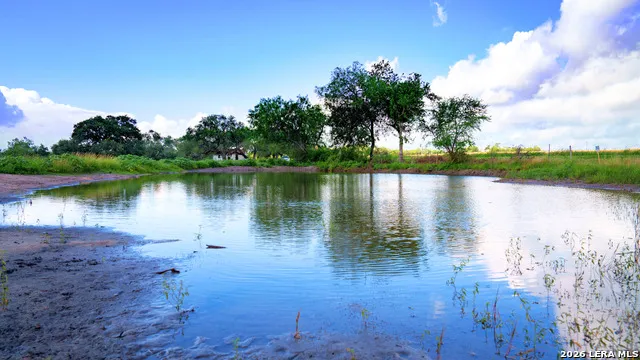 43 ACRES Fm 885 Runge, TX 78151