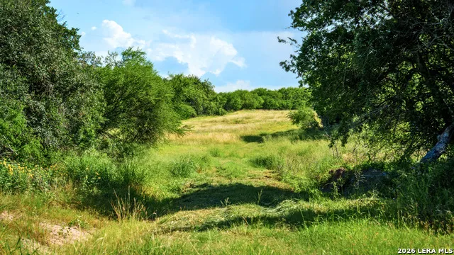 43 ACRES Fm 885 Runge, TX 78151