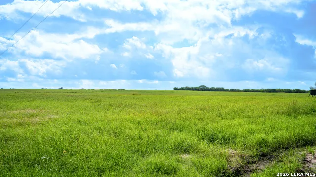 43 ACRES Fm 885 Runge, TX 78151