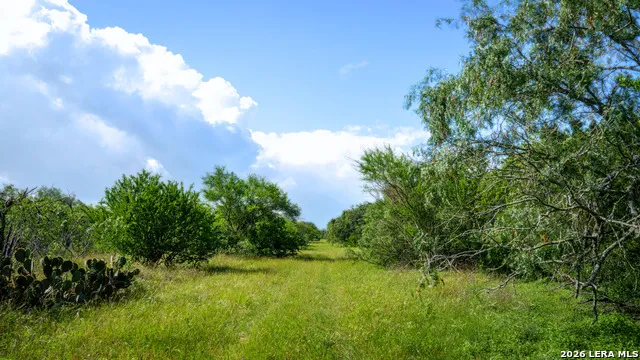 43 ACRES Fm 885 Runge, TX 78151