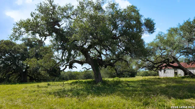 43 ACRES Fm 885 Runge, TX 78151