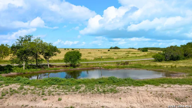 43 ACRES Fm 885 Runge, TX 78151
