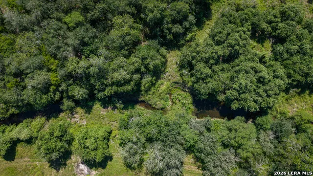 43 ACRES Fm 885 Runge, TX 78151