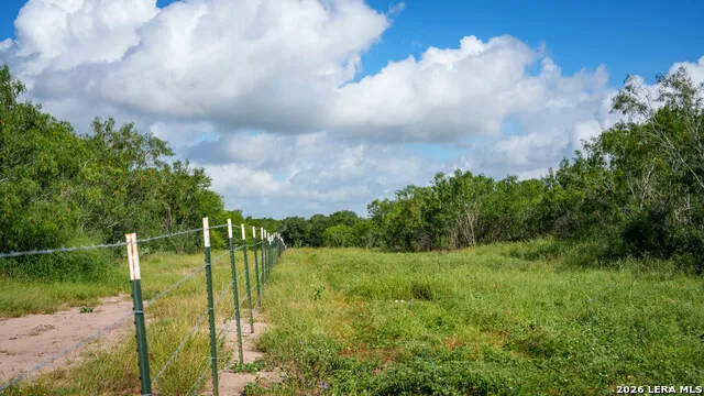 43 ACRES Fm 885 Runge, TX 78151