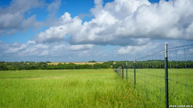 43 ACRES Fm 885 Runge, TX 78151