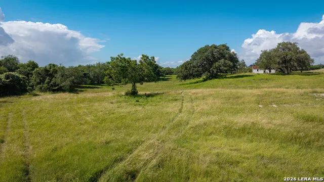 43 ACRES Fm 885 Runge, TX 78151