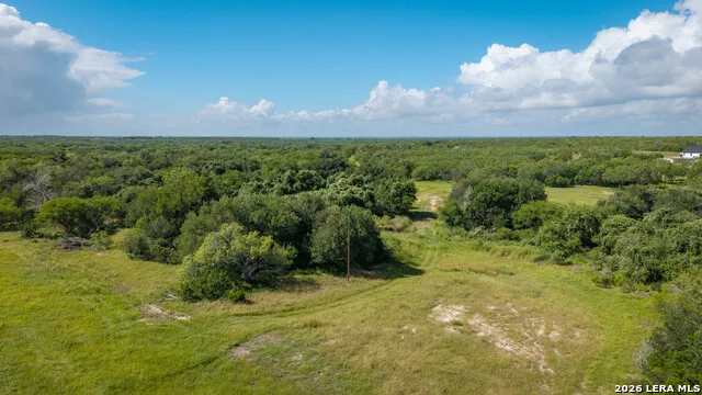 43 ACRES Fm 885 Runge, TX 78151