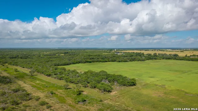 43 ACRES Fm 885 Runge, TX 78151