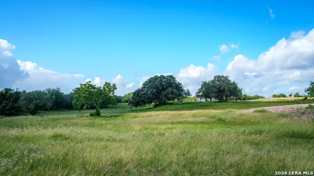 43 ACRES Fm 885 Runge, TX 78151