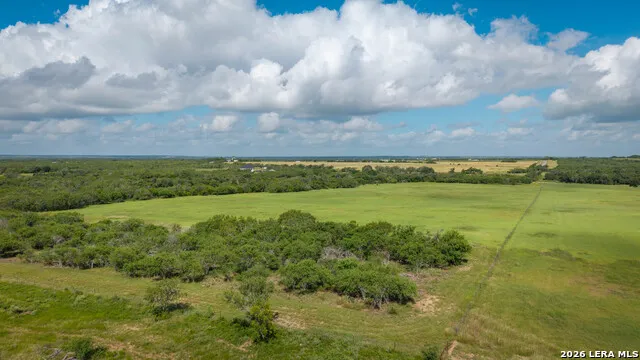 43 ACRES Fm 885 Runge, TX 78151