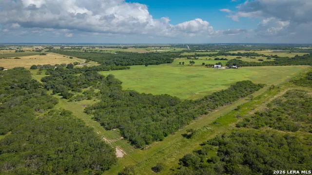 43 ACRES Fm 885 Runge, TX 78151