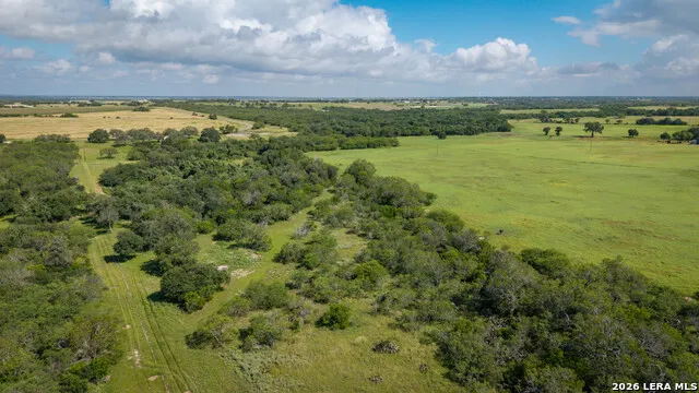 43 ACRES Fm 885 Runge, TX 78151