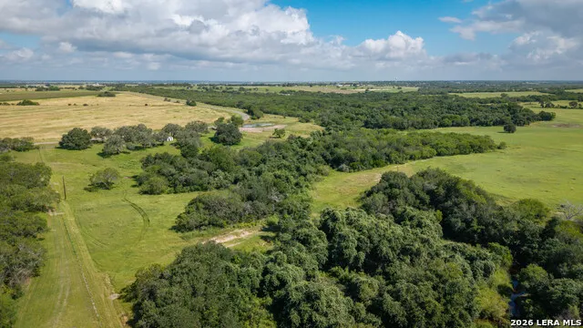 43 ACRES Fm 885 Runge, TX 78151