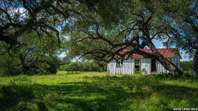 43 ACRES Fm 885 Runge, TX 78151