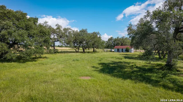 43 ACRES Fm 885 Runge, TX 78151
