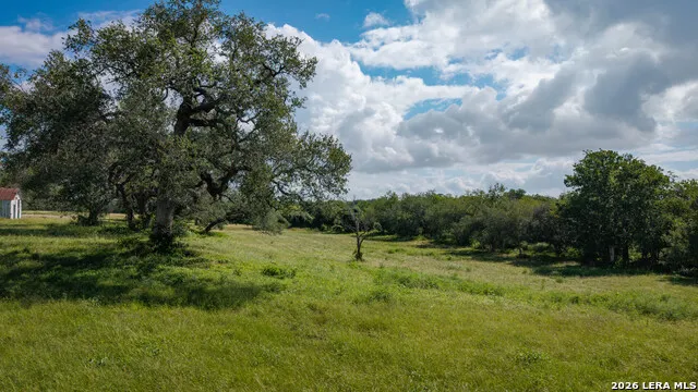 43 ACRES Fm 885 Runge, TX 78151