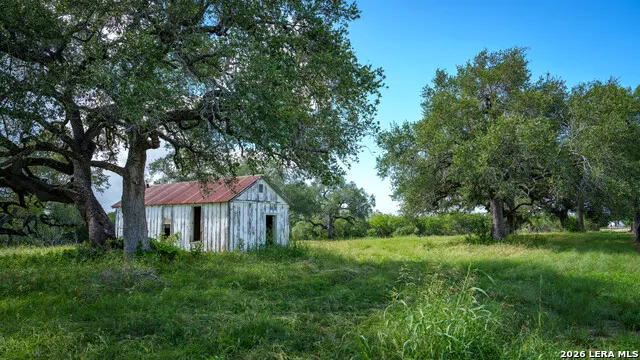 43 ACRES Fm 885 Runge, TX 78151