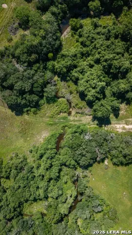 43 ACRES Fm 885 Runge, TX 78151
