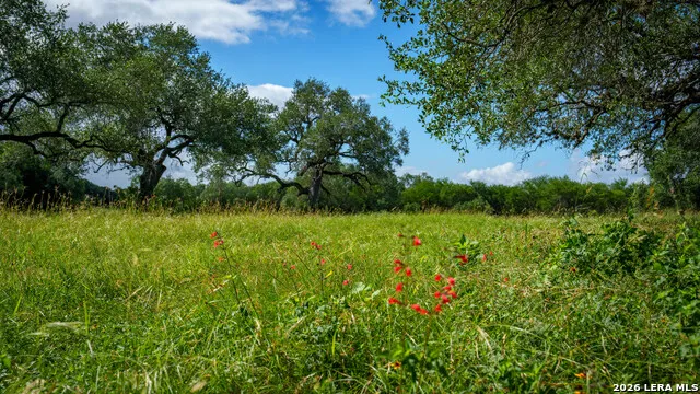 43 ACRES Fm 885 Runge, TX 78151