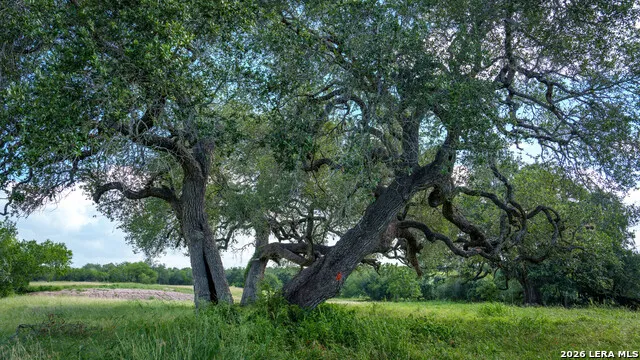 43 ACRES Fm 885 Runge, TX 78151