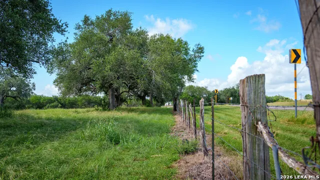 43 ACRES Fm 885 Runge, TX 78151