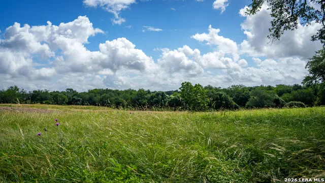 43 ACRES Fm 885 Runge, TX 78151