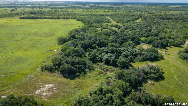 43 ACRES Fm 885 Runge, TX 78151
