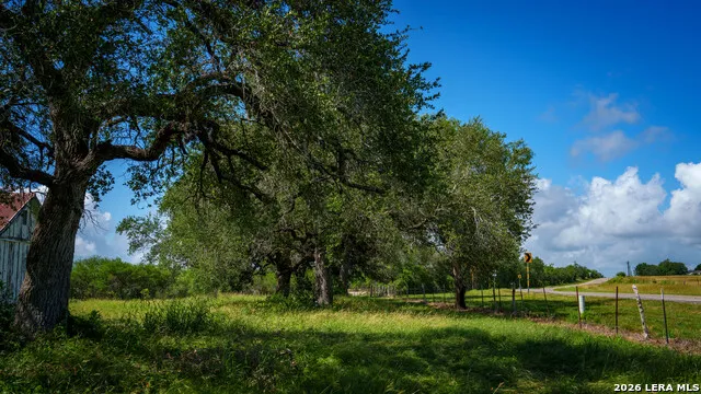 43 ACRES Fm 885 Runge, TX 78151