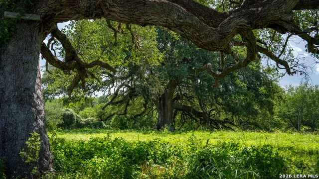 43 ACRES Fm 885 Runge, TX 78151