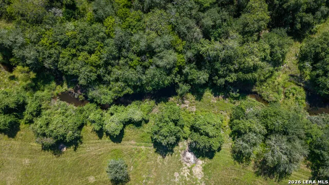 43 ACRES Fm 885 Runge, TX 78151