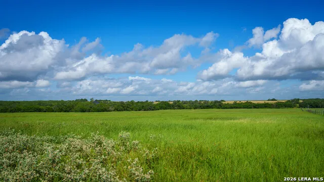 43 ACRES Fm 885 Runge, TX 78151