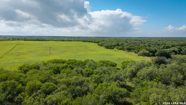 43 ACRES Fm 885 Runge, TX 78151