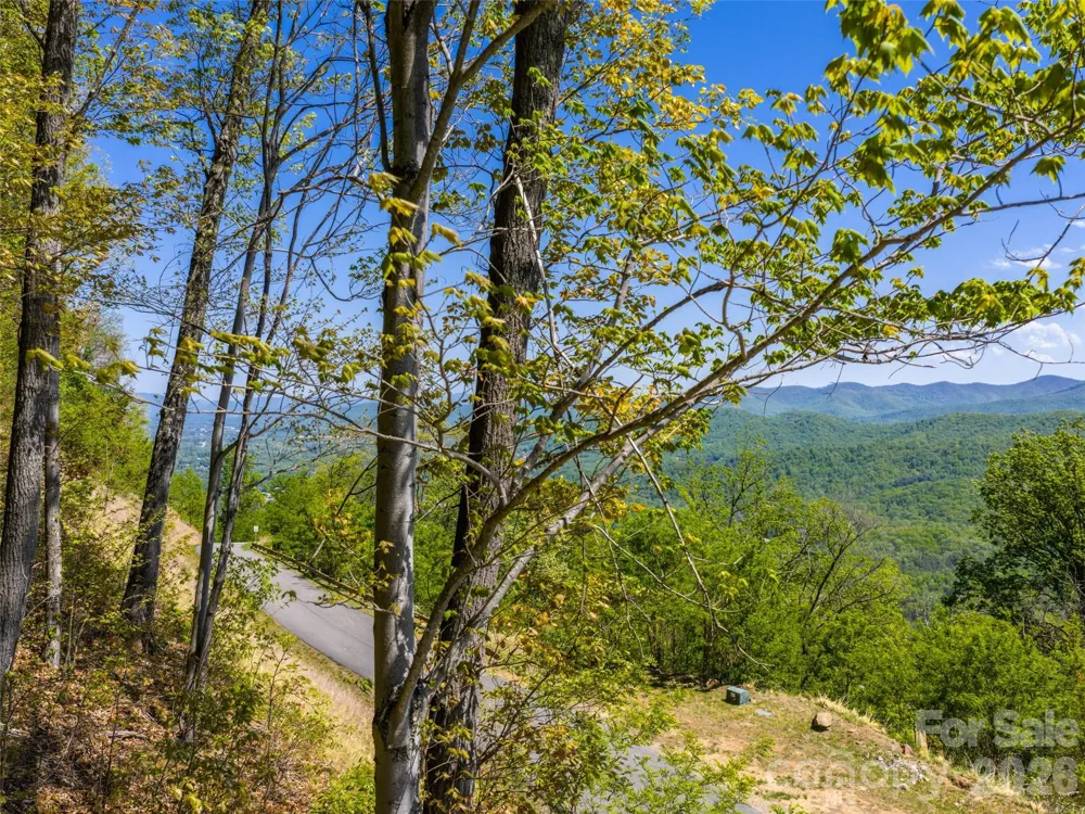 0000 Lovebird Lane #18 Candler, NC 28716
