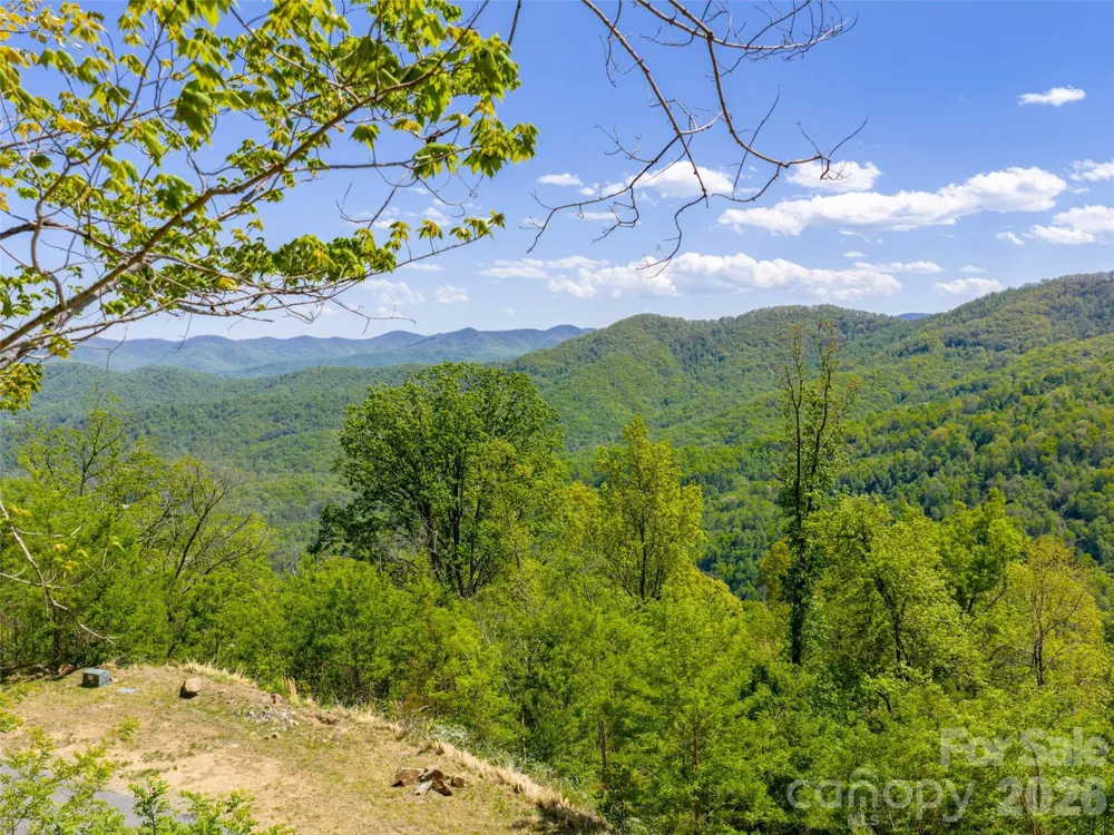 0000 Lovebird Lane #18 Candler, NC 28716
