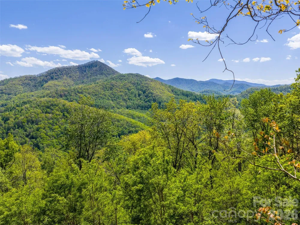 0000 Lovebird Lane #18 Candler, NC 28716