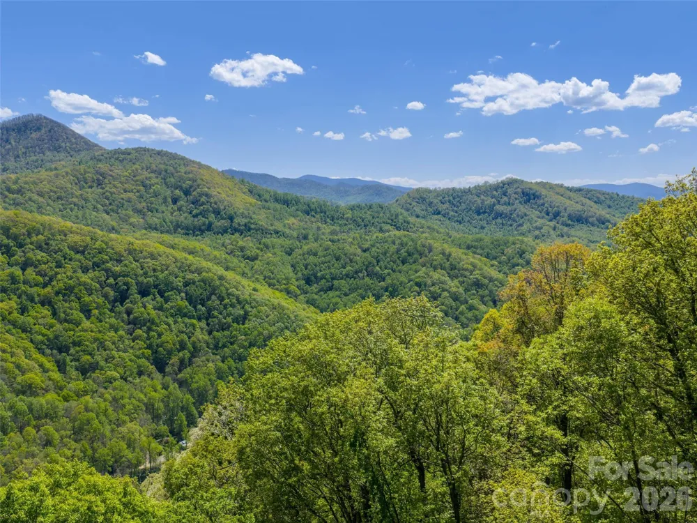 0000 Lovebird Lane #18 Candler, NC 28716