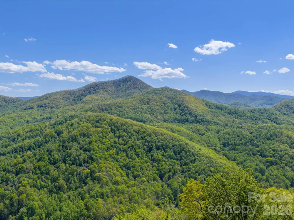0000 Lovebird Lane #18 Candler, NC 28716