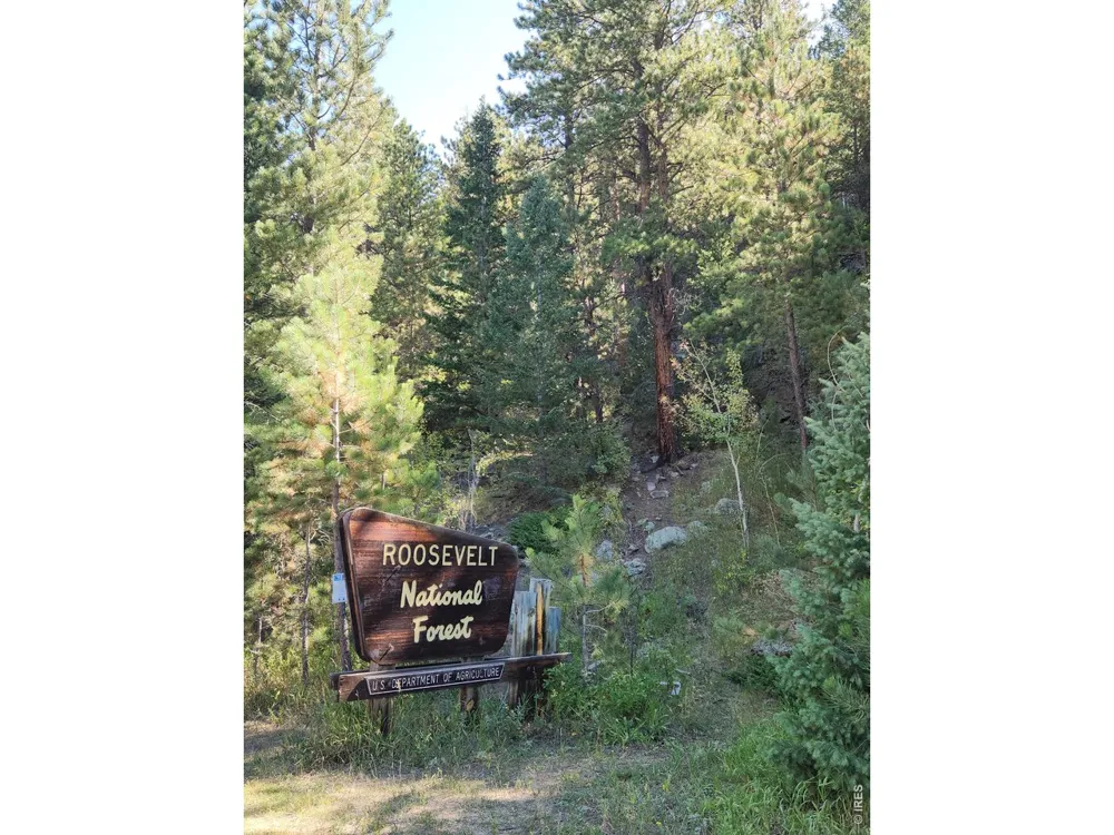 148 Big Pine Lane Drake, CO 80515