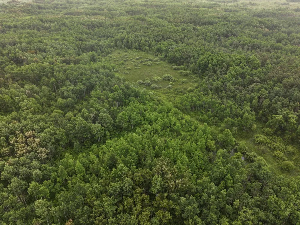 TBD 350th ave Lancaster, MN 56735