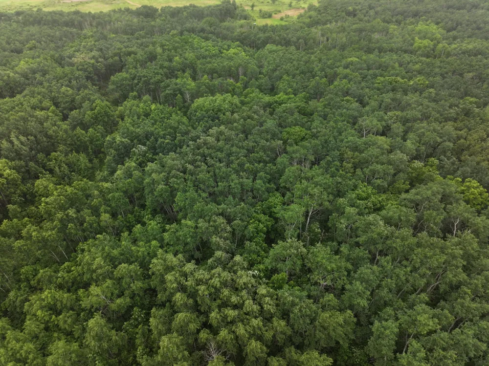 TBD 350th ave Lancaster, MN 56735