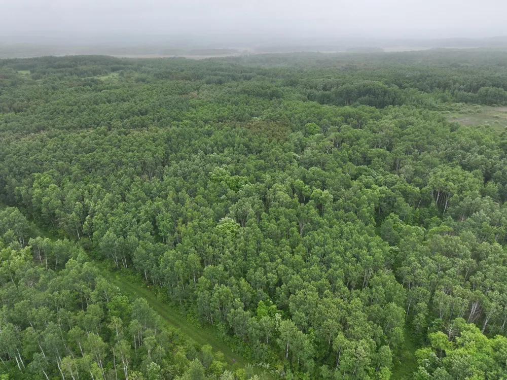 TBD 350th ave Lancaster, MN 56735