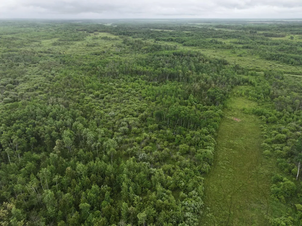TBD 350th ave Lancaster, MN 56735