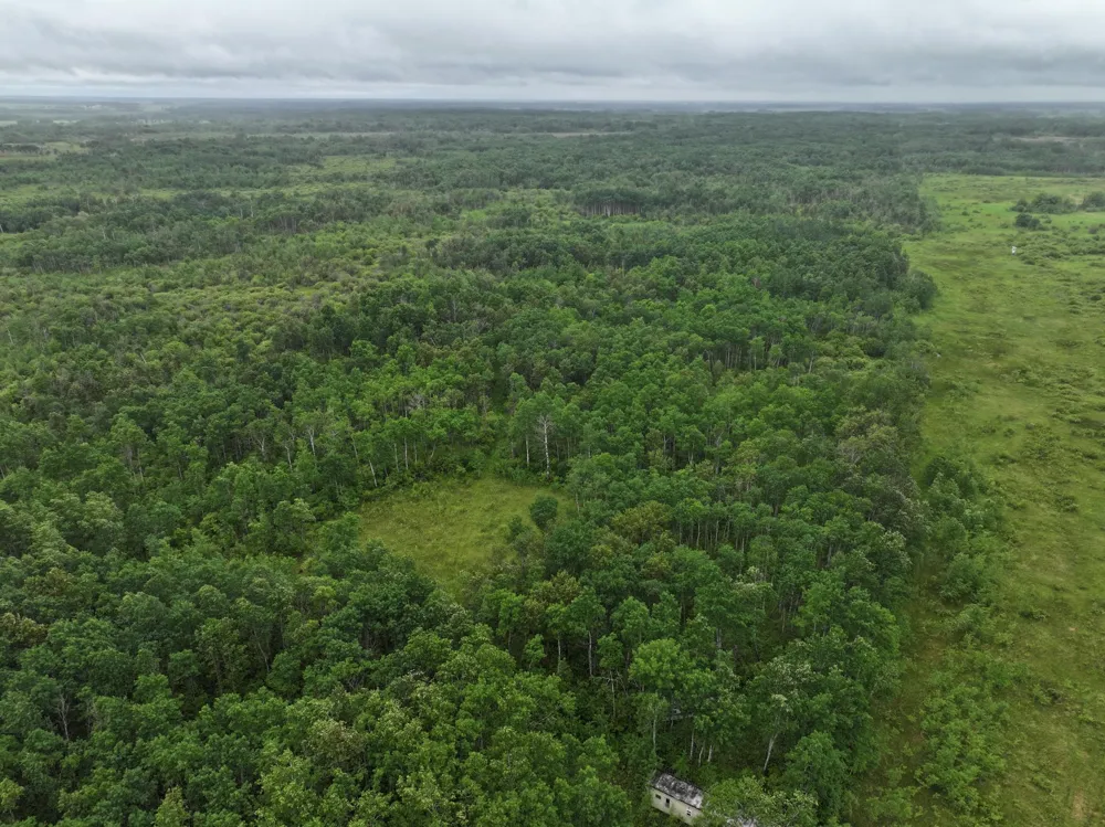 TBD 350th ave Lancaster, MN 56735